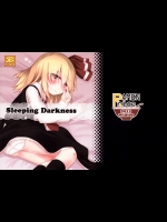 [らーめんらいす] SleepingDarkness