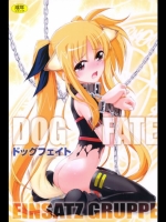 魔法少女リリカルなのは DOG FATE (C83)