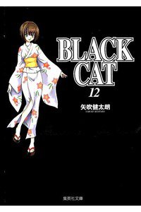 BLACK CAT 12巻