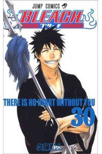 BLEACH-ブリーチ- 30巻