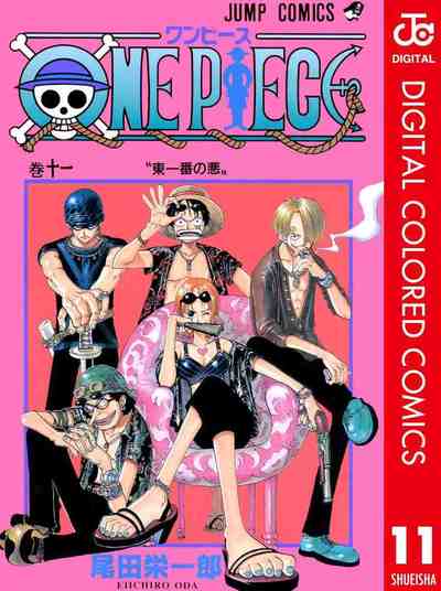 ONE PIECE カラー版 11巻