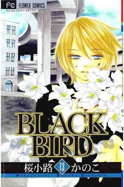 BLACK BIRD（ブラックバード） 13巻