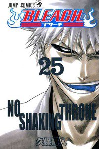 BLEACH-ブリーチ- 25巻