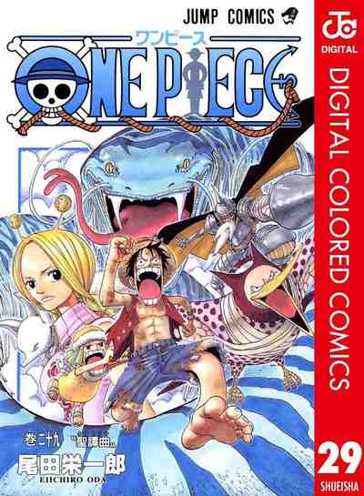 ONE PIECE カラー版