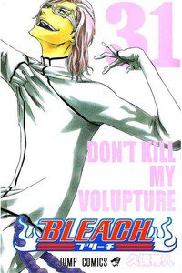 BLEACH-ブリーチ- 31巻