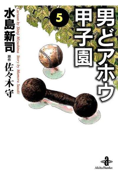 男どアホウ甲子園  5巻