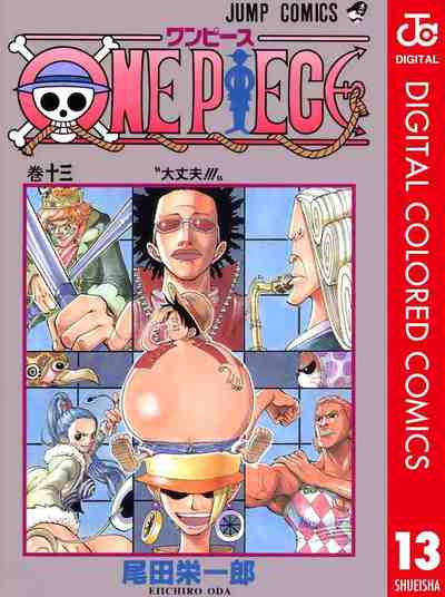 ONE PIECE カラー版 13巻