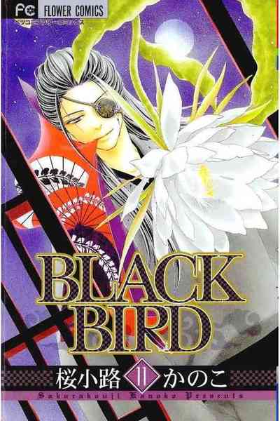 BLACK BIRD（ブラックバード） 11巻