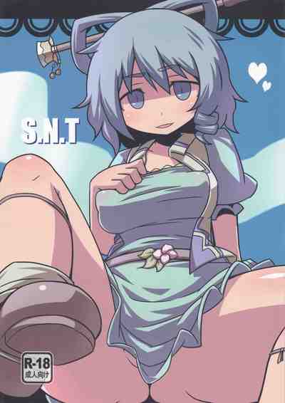 (紅楼夢8) [リーフジオメトリ (はきか)] S.N.T (東方Project)