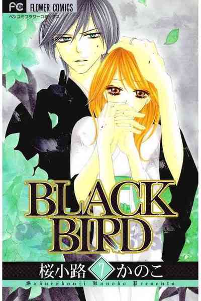 BLACK BIRD（ブラックバード） 7巻