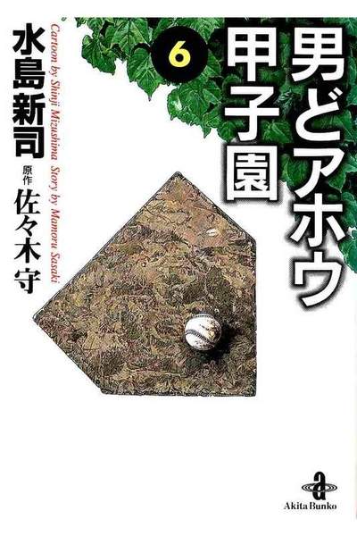 男どアホウ甲子園  6巻