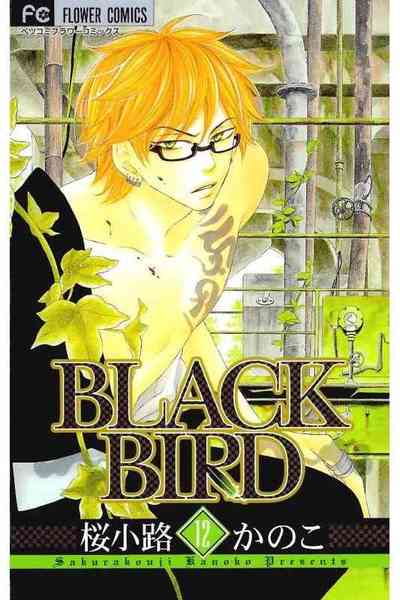 BLACK BIRD（ブラックバード） 12巻