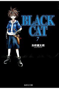 BLACK CAT 7巻