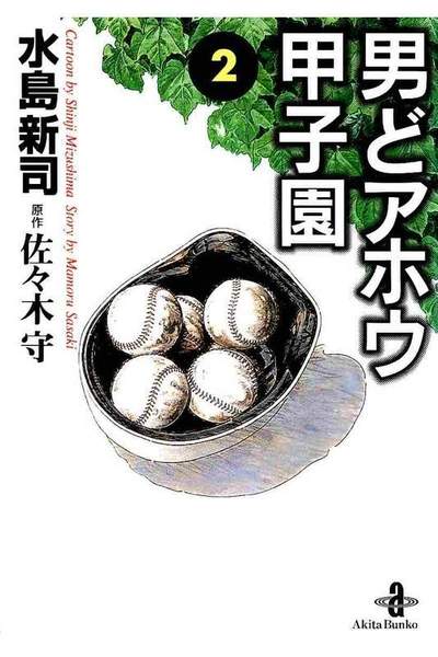 男どアホウ甲子園  2巻