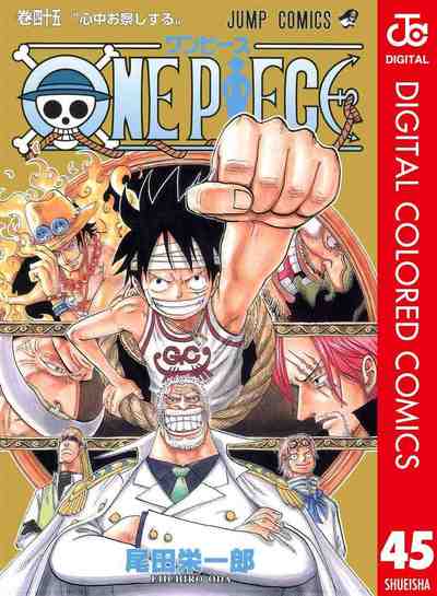 ONE PIECE カラー版 45巻