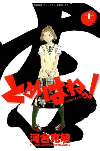 とめはねっ! 鈴里高校書道部  11巻