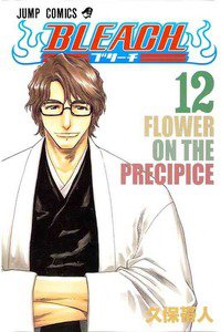 BLEACH-ブリーチ- 12巻